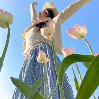 丛林敢死队